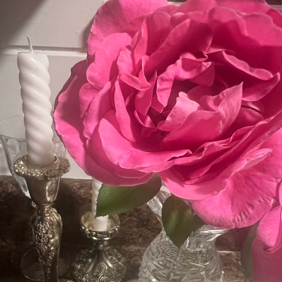 smokymtnrose